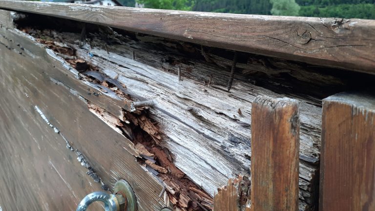 43bc11a5-68ce-450d-b41e-80e66b646eba