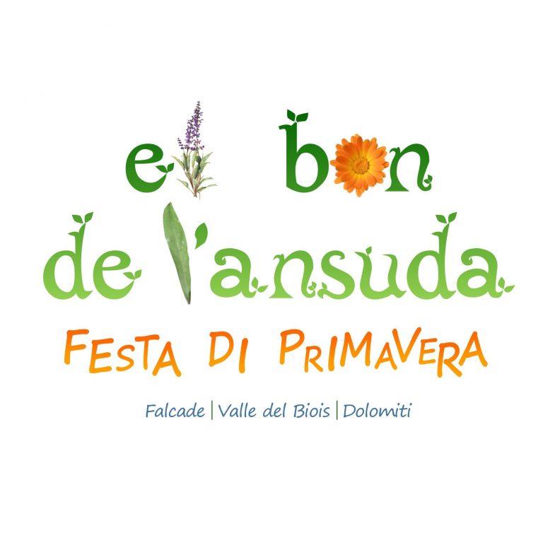 59496225_332888414086403_7618196841120661504_n