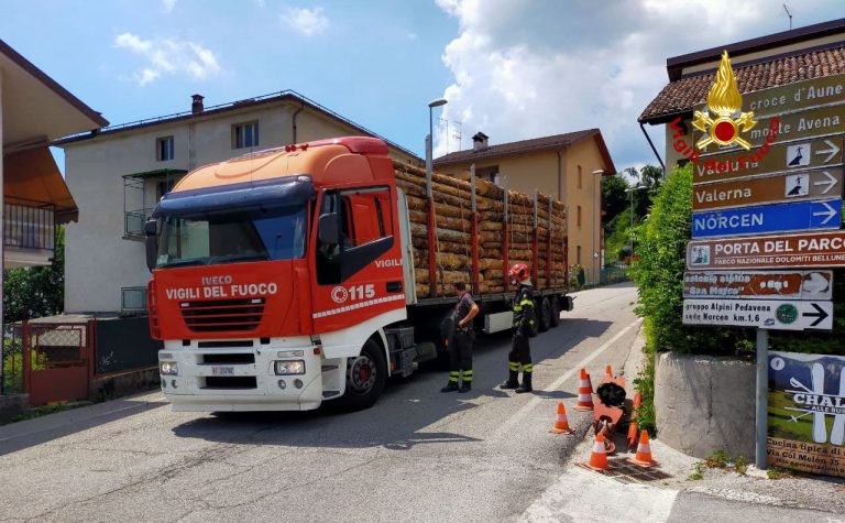 796ea239-4df8-4f24-a965-051821c7ec4f