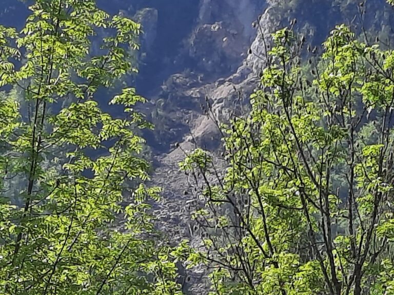 7ff2aba5-4af1-4f47-b10f-54d34ba4dcad