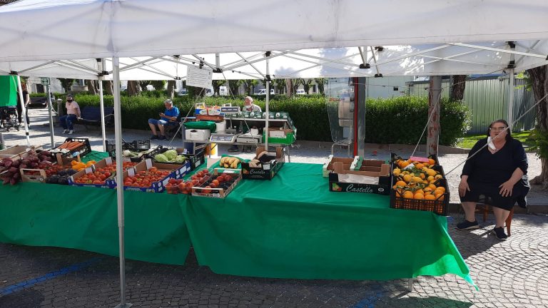 87b89783-20c3-4926-8a73-db872c2b69e4