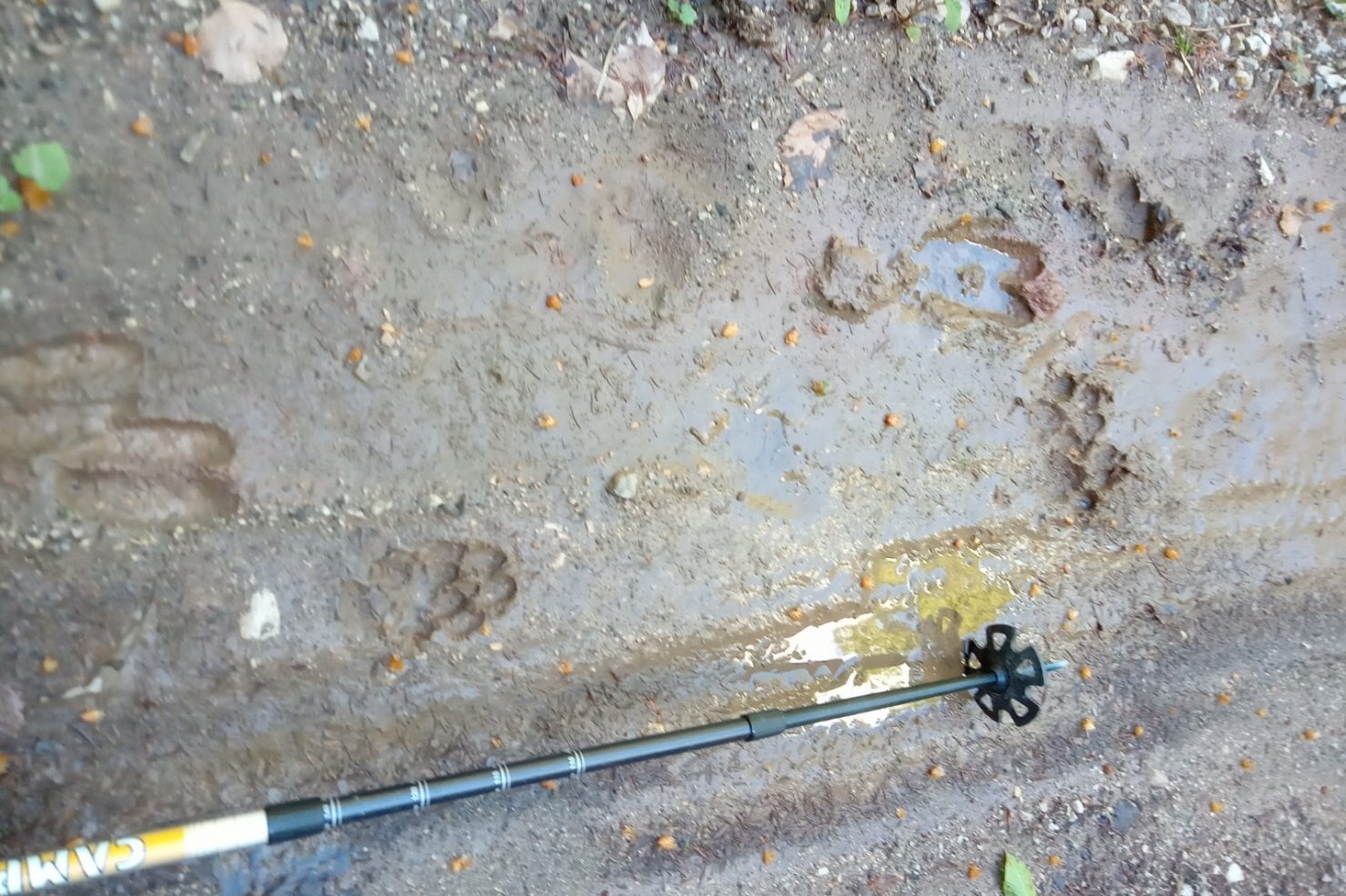 9f103942-8a06-43f6-9b7d-a70e21dfb21e