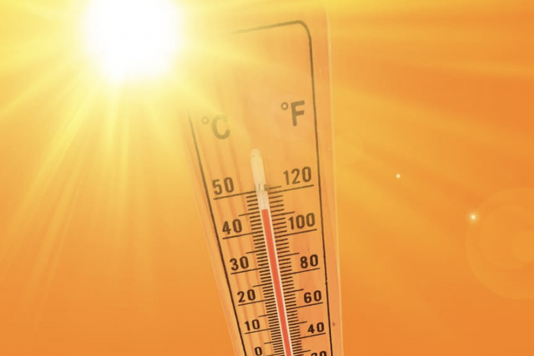 CALDO AFA