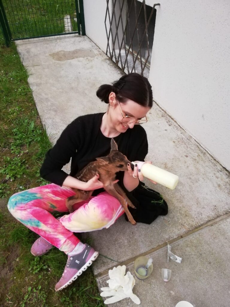 b5682165-867b-4c3f-9e8d-d820572dc488