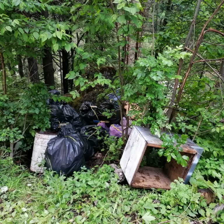 c81ead42-51a5-4dbb-a2b4-7adb4f77ca26