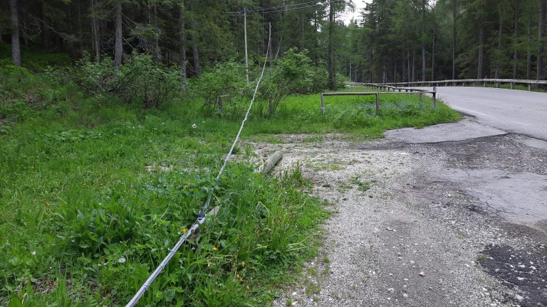 d3056bb0-6d01-4764-b311-3b8f1bd96338