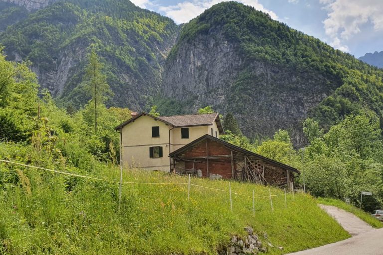 db02a18b-cc99-4bc0-989b-366832c339e0