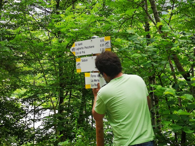 e50a52d7-97ba-4388-959a-5ae6644b3259