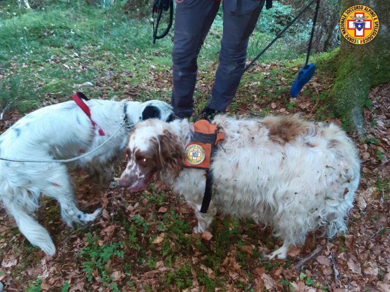 salt_20210628_113635_089