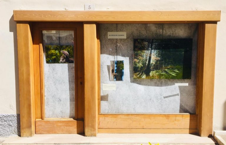 0090bfc5-4e04-4004-91e1-b9f2121b268e