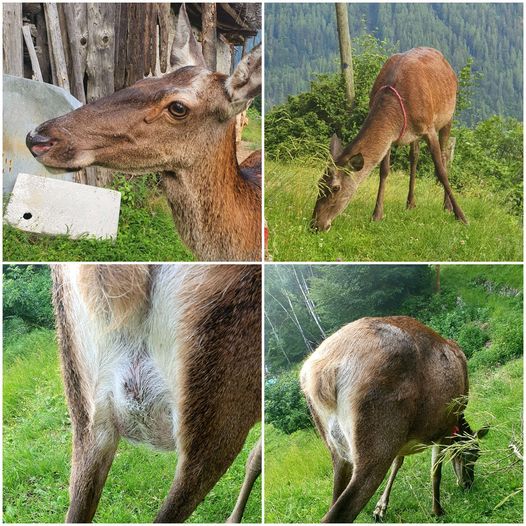 213722010_2932089697057923_474524190011381790_n