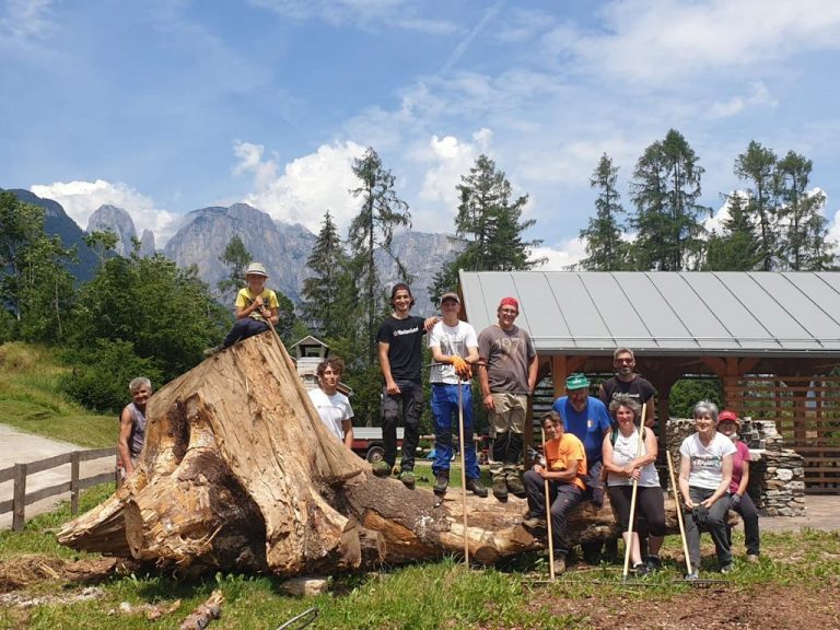 33332339-984f-42a0-8390-47f0ffa7ff2a