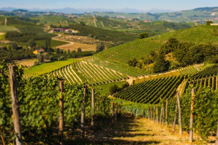 49LANGHE