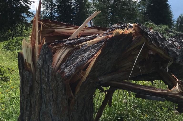 764d2161-44a1-492a-8885-78bb6f8fb5a0