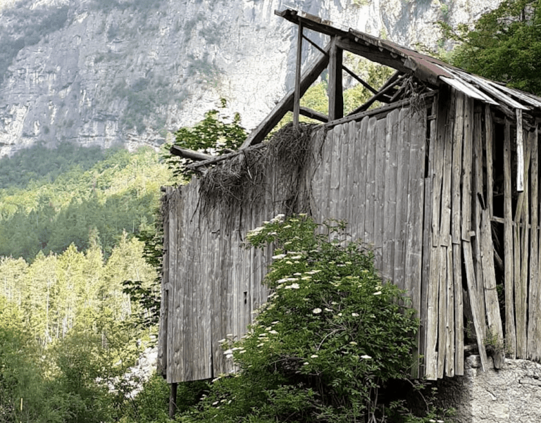 Schermata 2021-07-11 alle 15.08.36