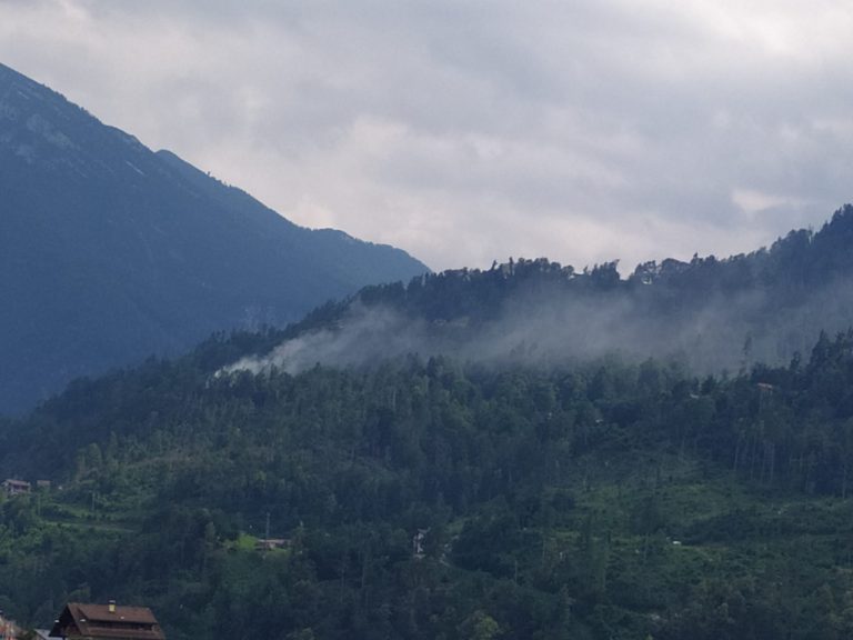 ec0c2839-54b7-46d5-abd4-e014096317cf