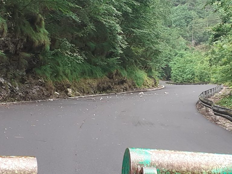 1678fd05-305f-4b95-95e4-5cb5f82b00b5