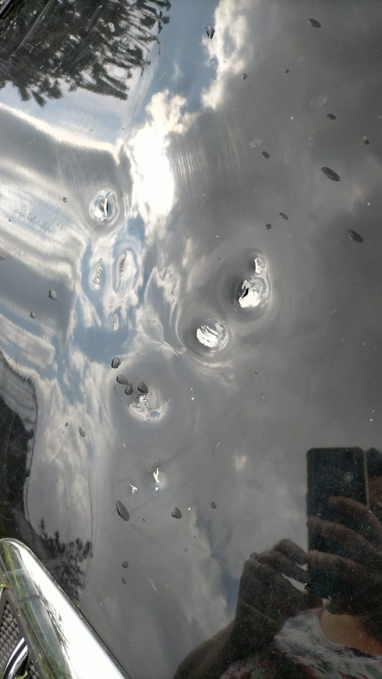 202e06cf-f340-4590-98f1-335af8d43f22