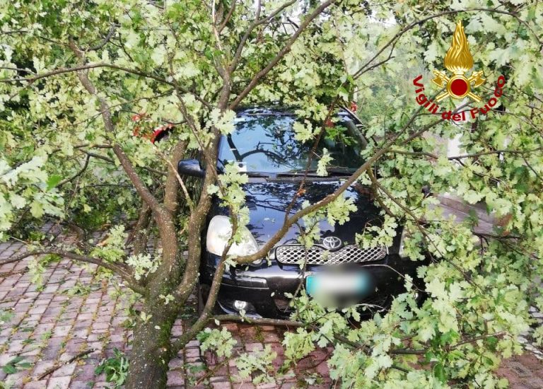 2615e354-239b-4df8-b236-fd6cb38d9f0b