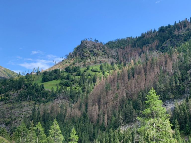 33fb8463-0799-4337-a5e1-4cad11e4e17a