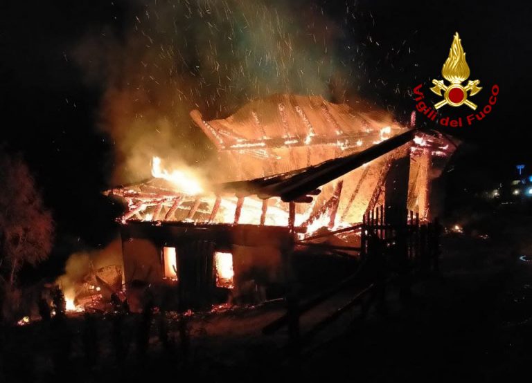 54ee3baa-d7aa-4308-a8d3-4a3867c33008