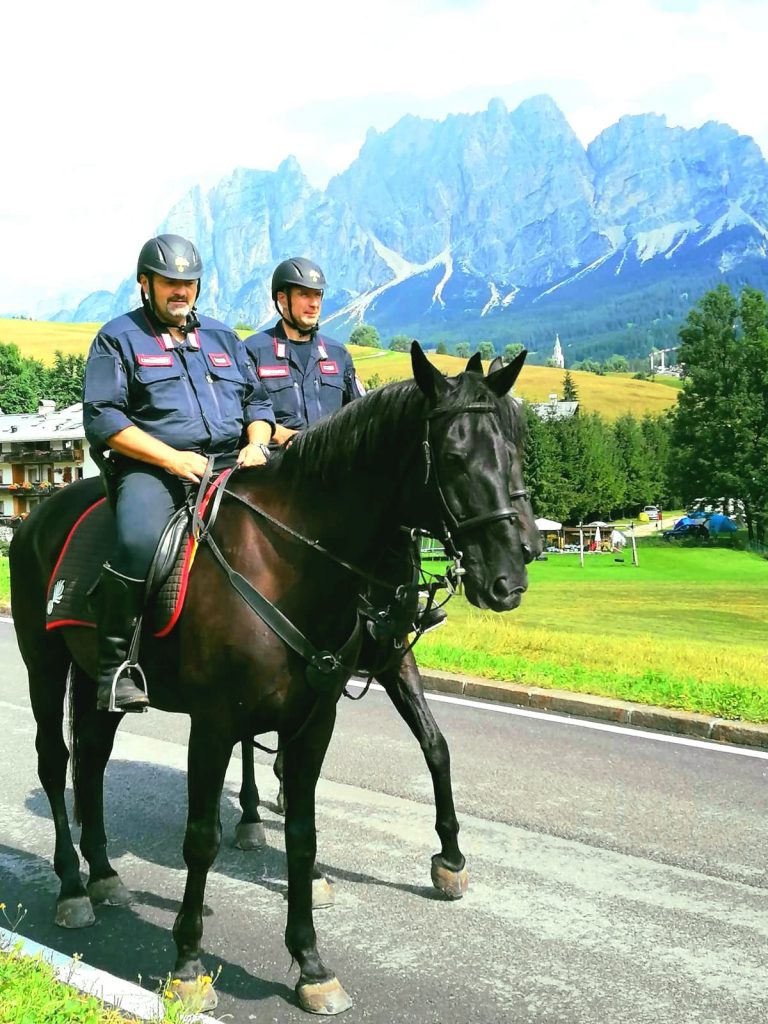 6ce2bdcc-3dbf-4f46-a84e-ebcf09e18510