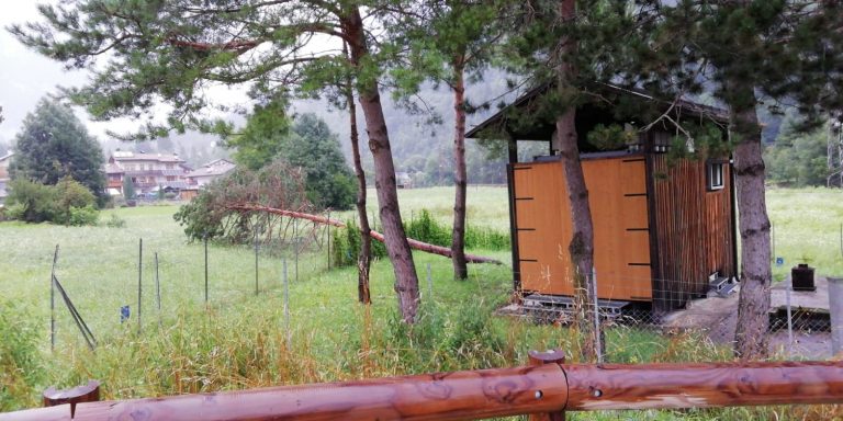 7d4f21e8-20e2-47d6-9db7-0b269c9d6c8d