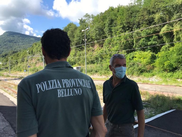 PHOTO-2021-08-18-11-53-40