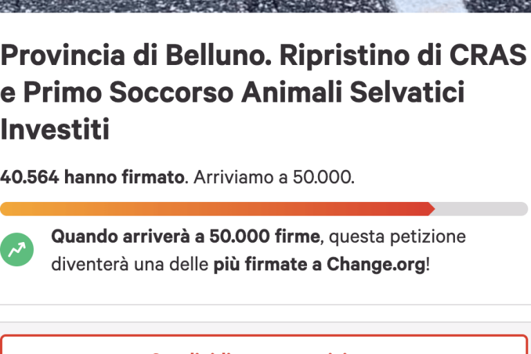 Schermata 2021-08-04 alle 11.10.15