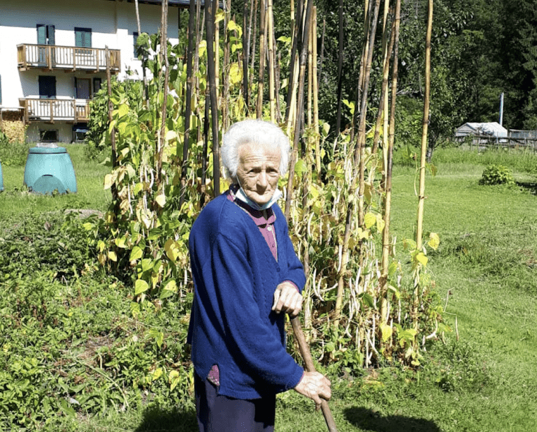 Schermata 2021-08-28 alle 16.10.05