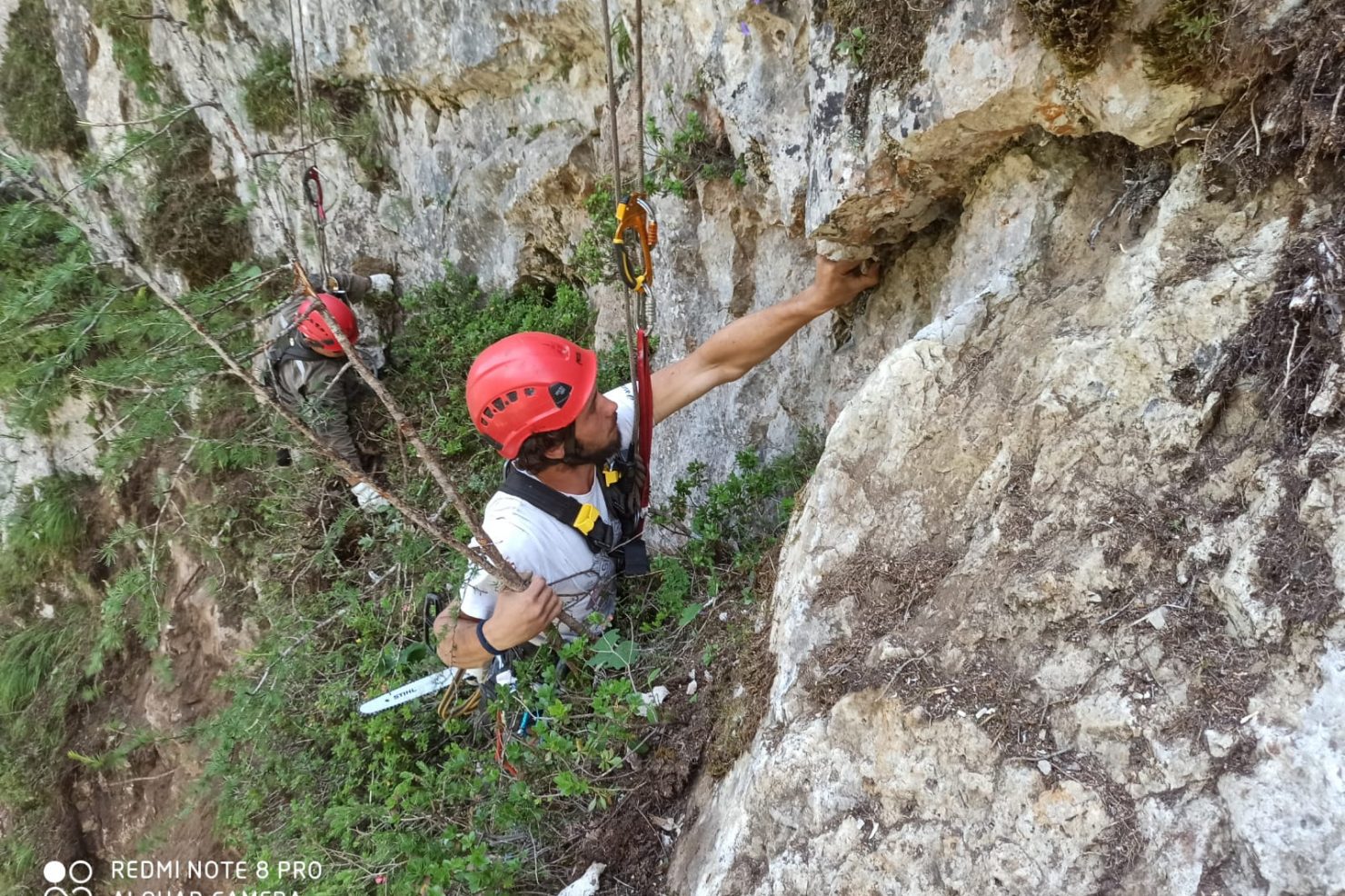 0ec21986-7b67-44bb-8681-508e9e9dfaf1