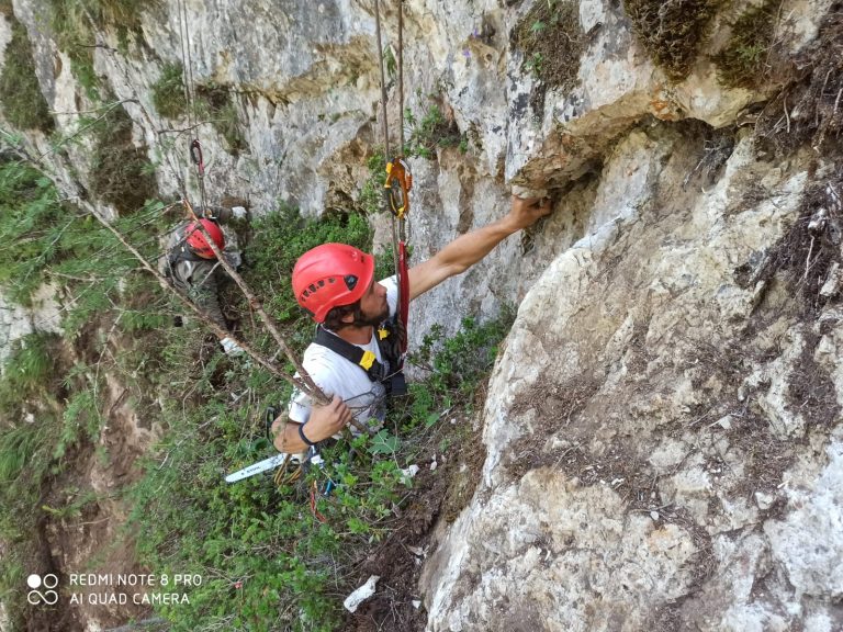 0ec21986-7b67-44bb-8681-508e9e9dfaf1