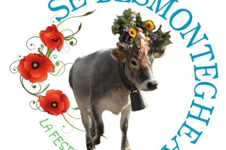 22195489_1979756082281840_1314118292241398448_n