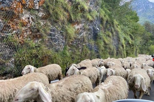 242301980_411364120327571_8150236340623944390_n