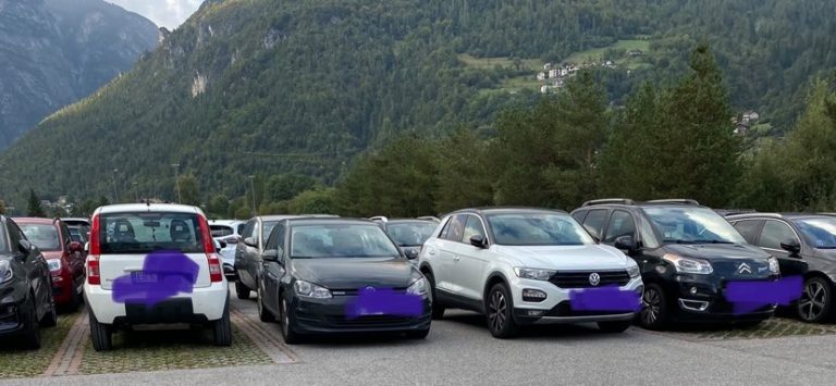 243275708_248634197198976_6881544615121839213_n