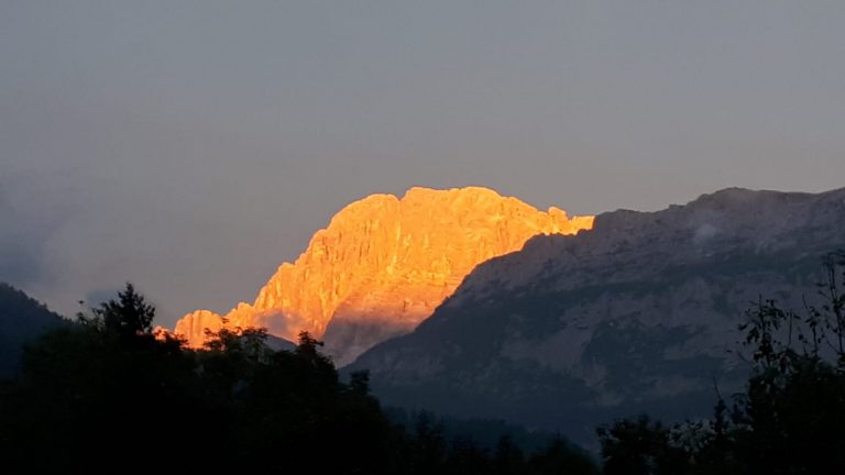 d8ca816b-e142-4570-bb5f-0241692b77e2