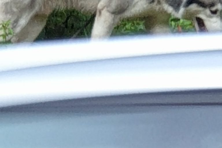 fd9f2c0f-5d6f-475a-bbdb-f62be9f6690d