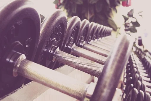 fitness-594143__340