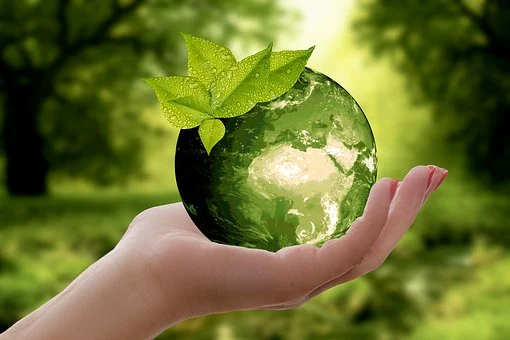 nature-3289812__340
