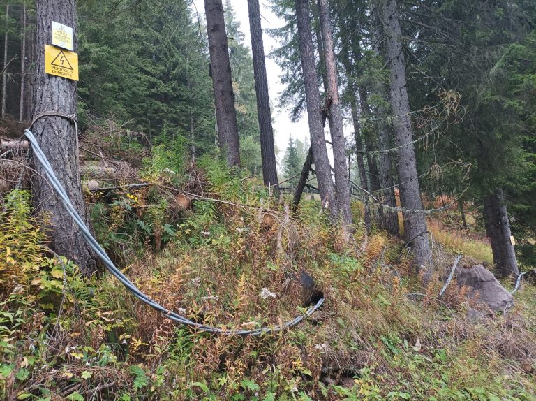 12b0667e-3fc4-4888-86f2-c36f2c7198b5