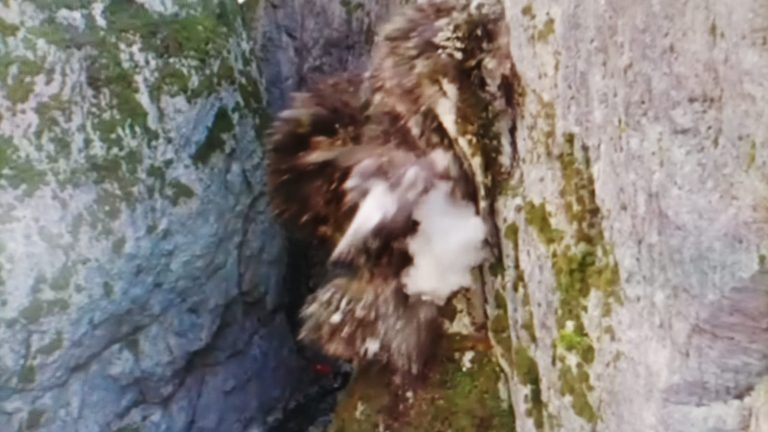 13c83295-8e82-441e-b376-9e8116f1eac8