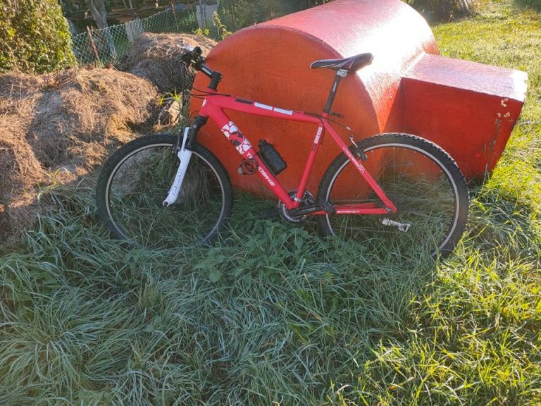 245408208_391375349132234_6697304113549908710_n