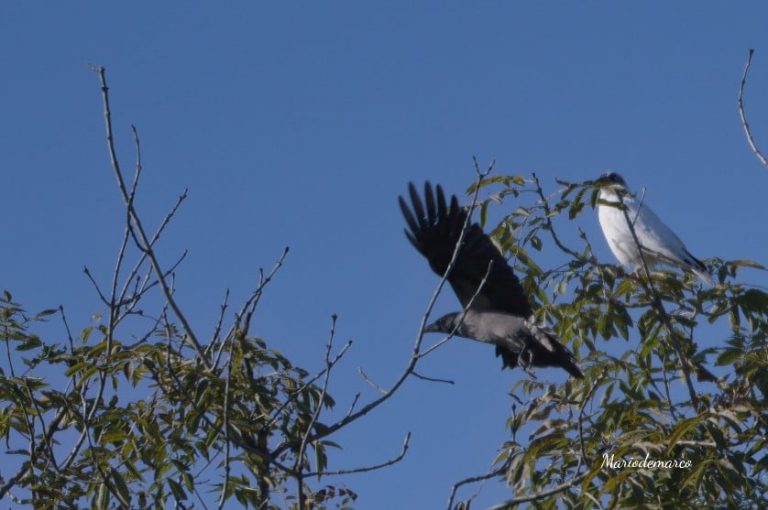 245650687_302097968051844_8257885063974980576_n