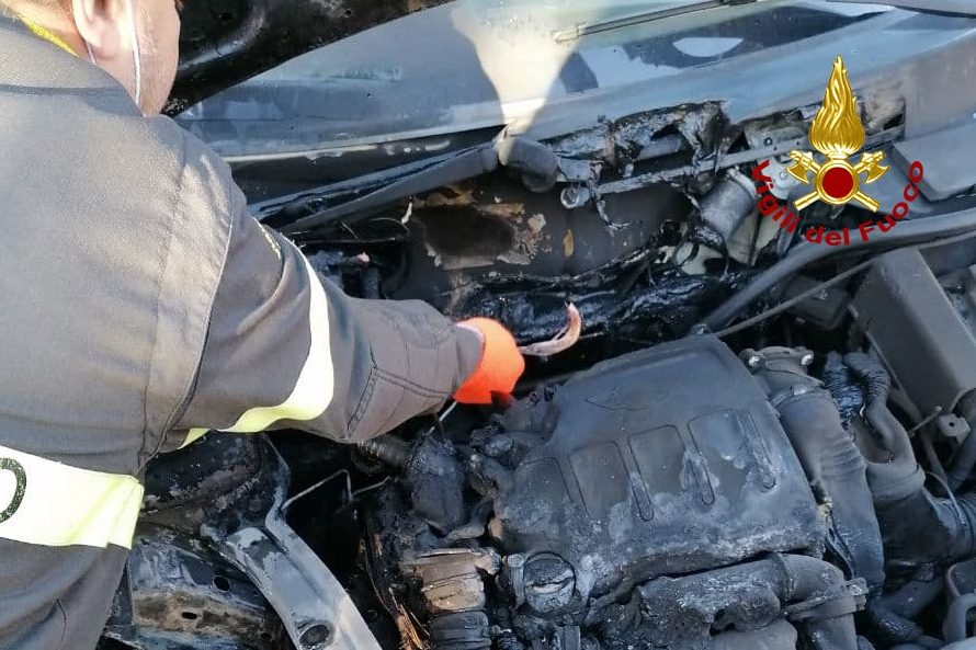 2902b441-db47-4439-861d-66ffe113c7a3