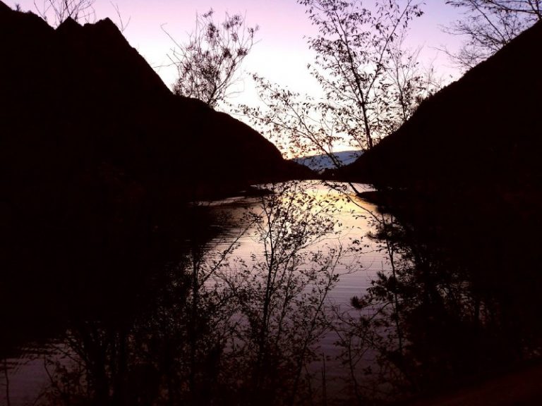 2caf316f-d899-4b07-a551-7115b995ab49