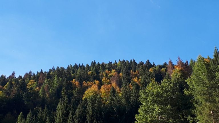 2ffe2ff0-8fb3-40ee-8316-ce0871951e8b