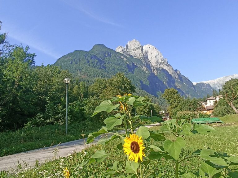 4cc0b329-d41e-4489-b69c-2846db88ede8