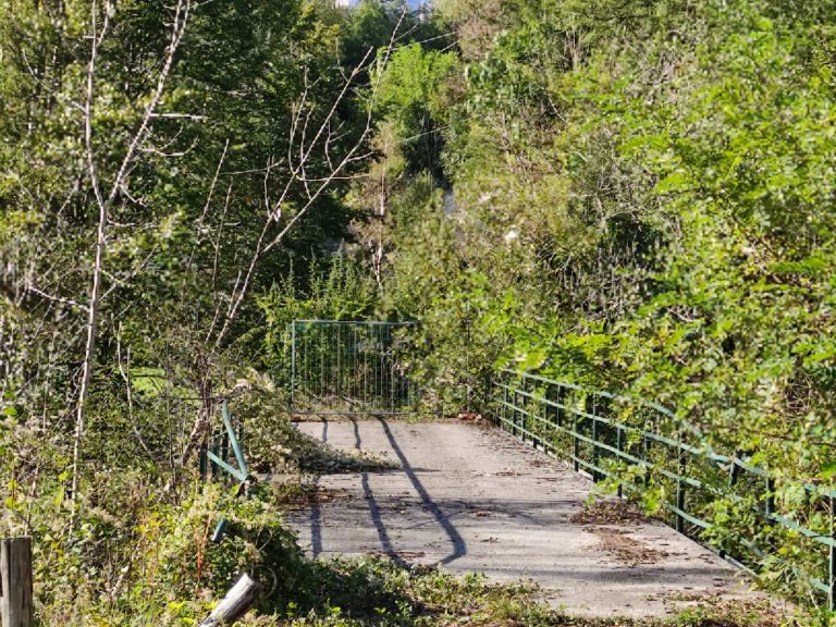 4d16f18c-591f-4e68-9719-0310541394b1