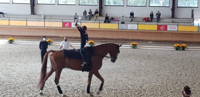 55d47869-4bbc-4c4a-8374-bf01fe3d8623