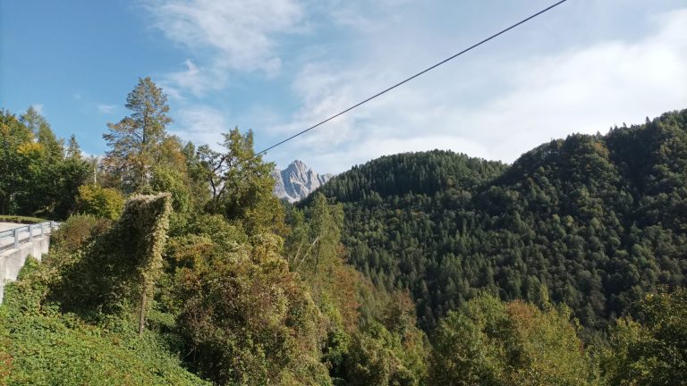 5f156e43-fad1-41c8-9082-b96cdfae12cb